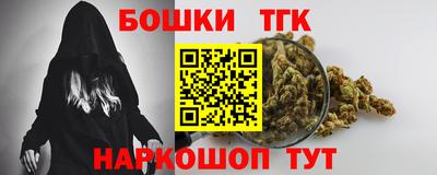 индика Аргун