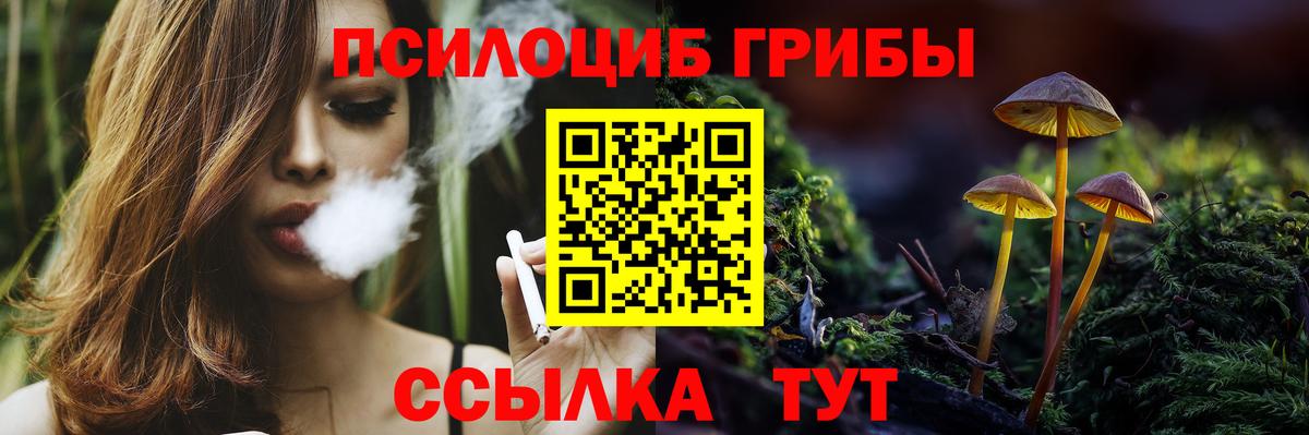 Галлюциногенные грибы Magic Shrooms  Вход с VPN  Березники 