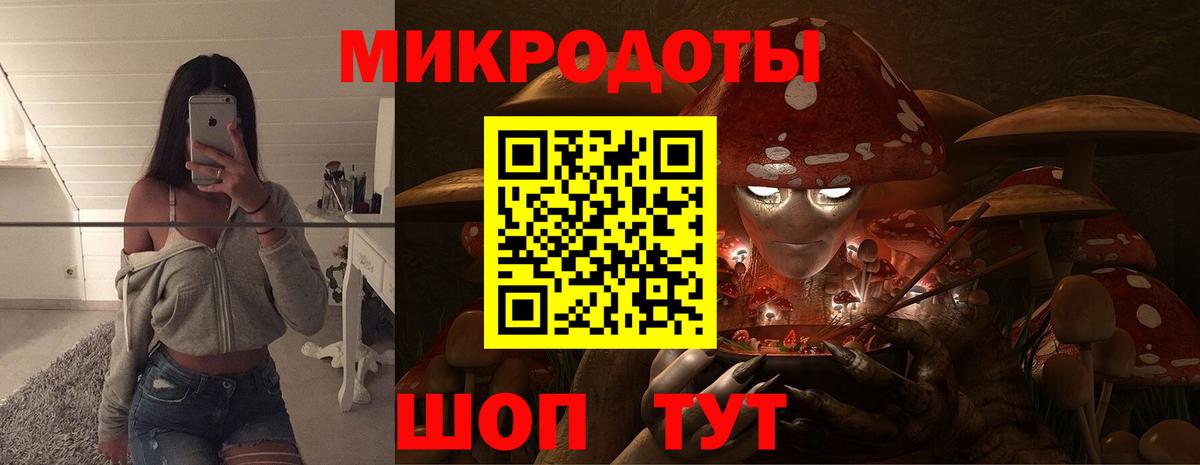 Галлюциногенные грибы Cubensis Березники